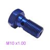 Vis - Simple - Banjo M10 x1.00 - Aluminium - Bleue